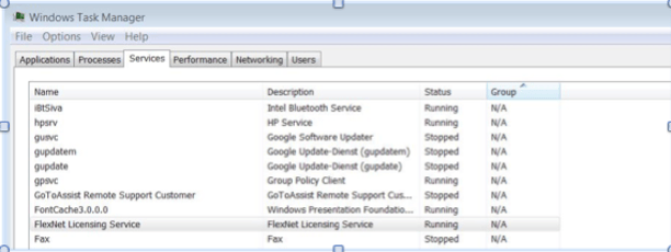 Flexnet task manager step